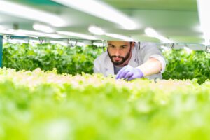 GrowUp, the UK's best-selling vertical farm, announced a substantial £38 million investment from Generate Capital, a prominent sustainable infrastructure investment and operating company