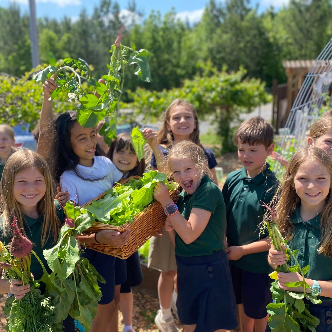 Garden time at Arborbrook.