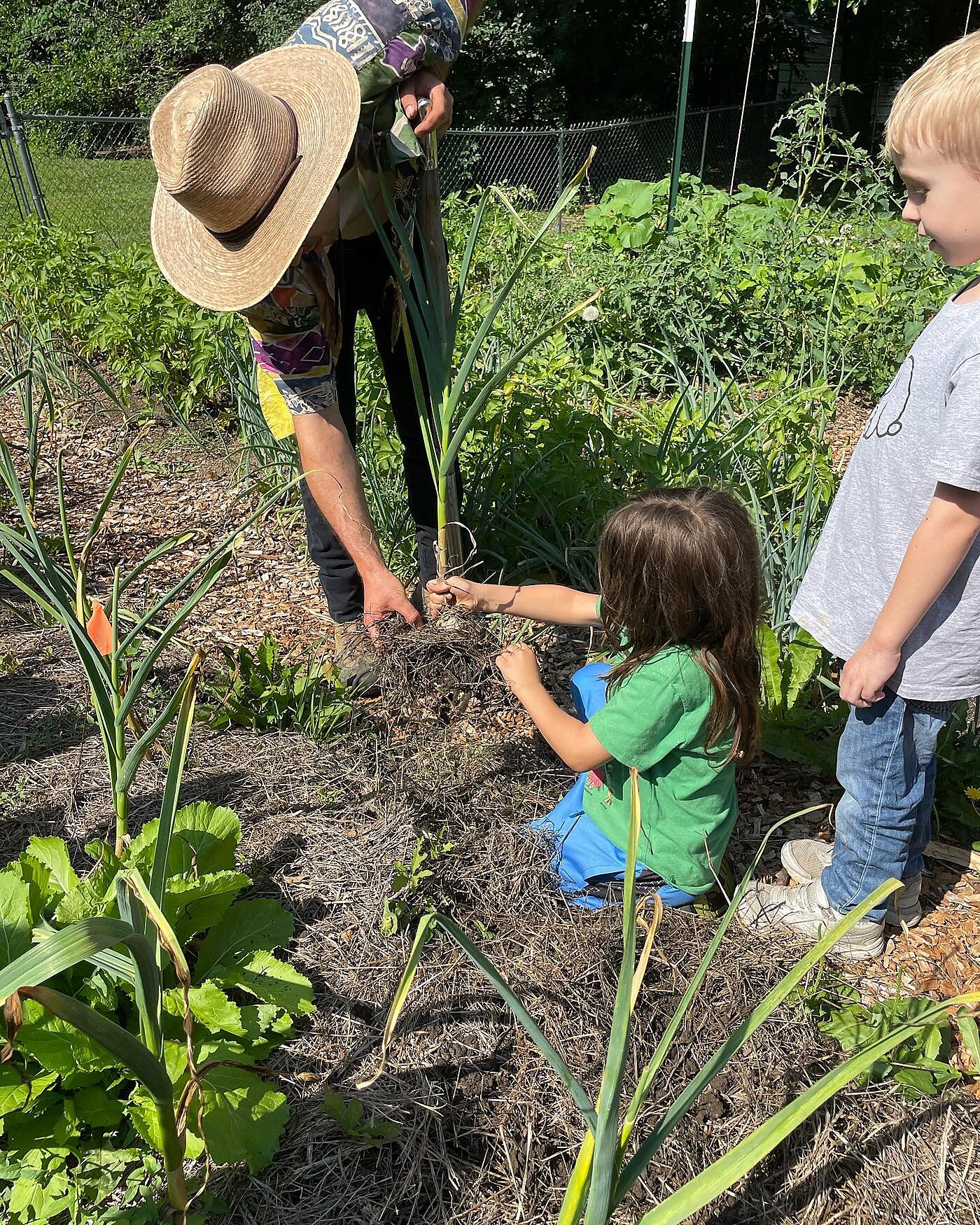 Gardening at Limestone.