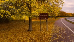 Harlow is lovely during the winter but with the holidays approaching, you might be planning a day trip to explore nearby destinations and experience some festive charm outside the city.